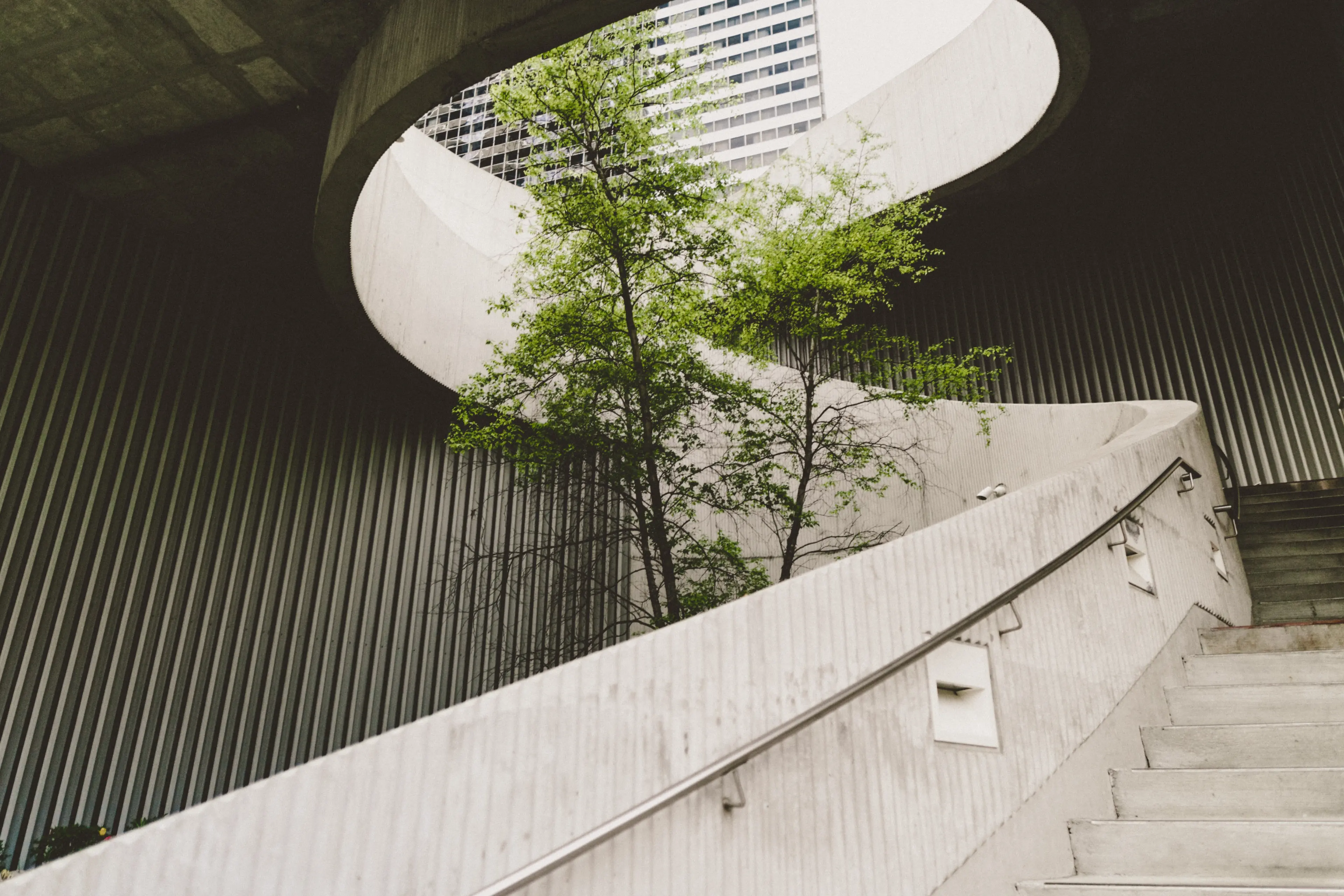 Modern Architecture with a tree growing in the middle
