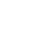 PVH Logo
