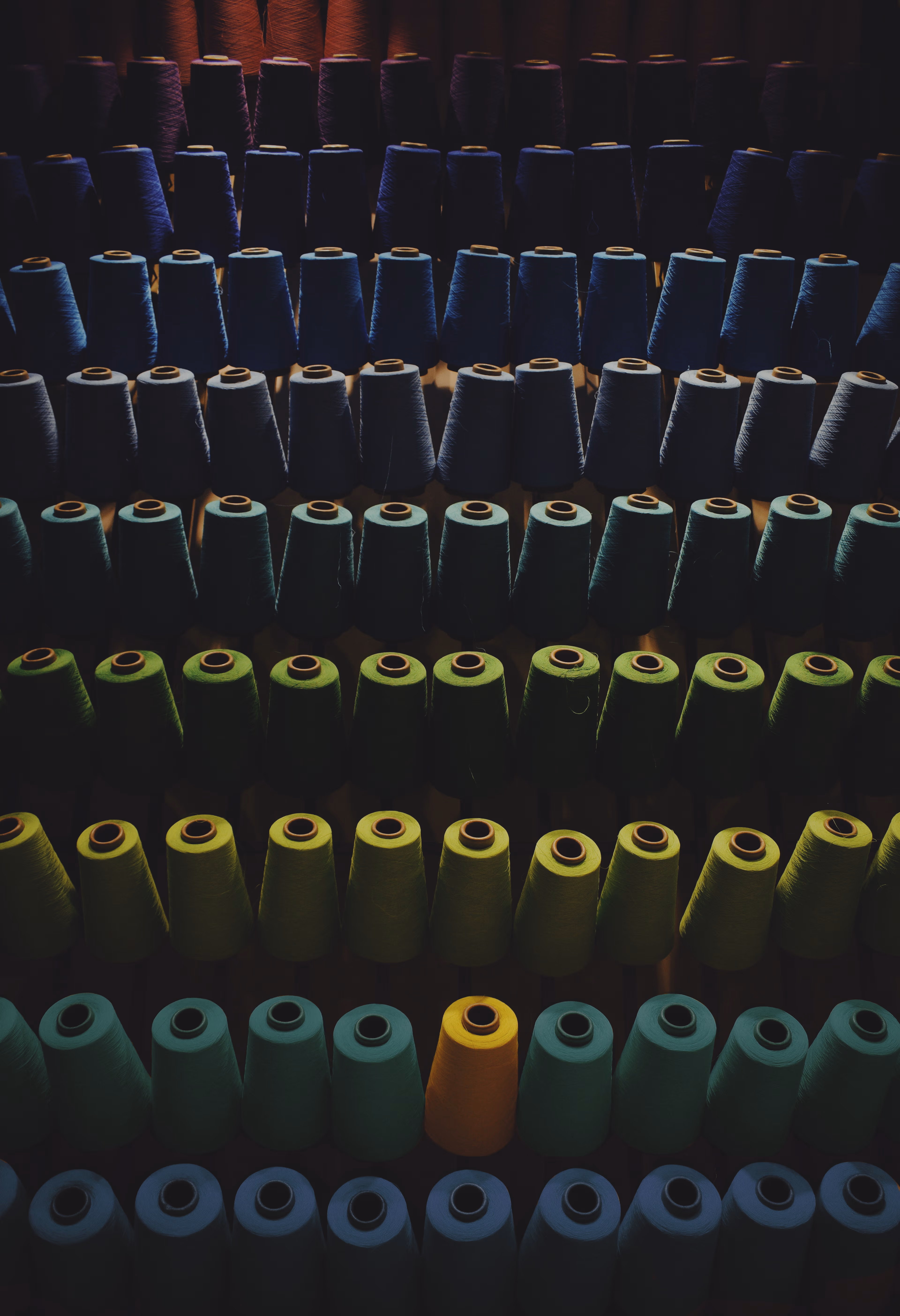 various threads arranged by color