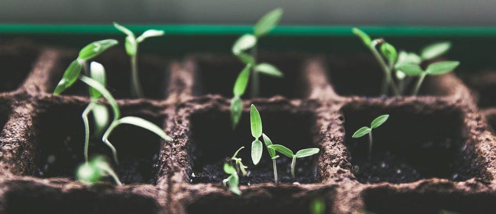 HappyFunCorp Core Values